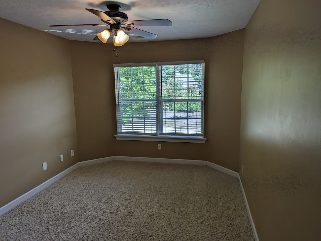 205 Nicholson Street #1 - Photo 3 of 23