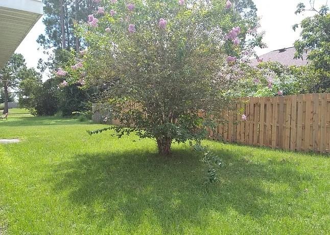 141 Inconnu Court #1 - Photo 2 of 31