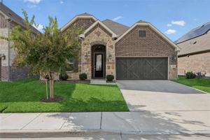 featured image of 17311 Texas Pistache Drive