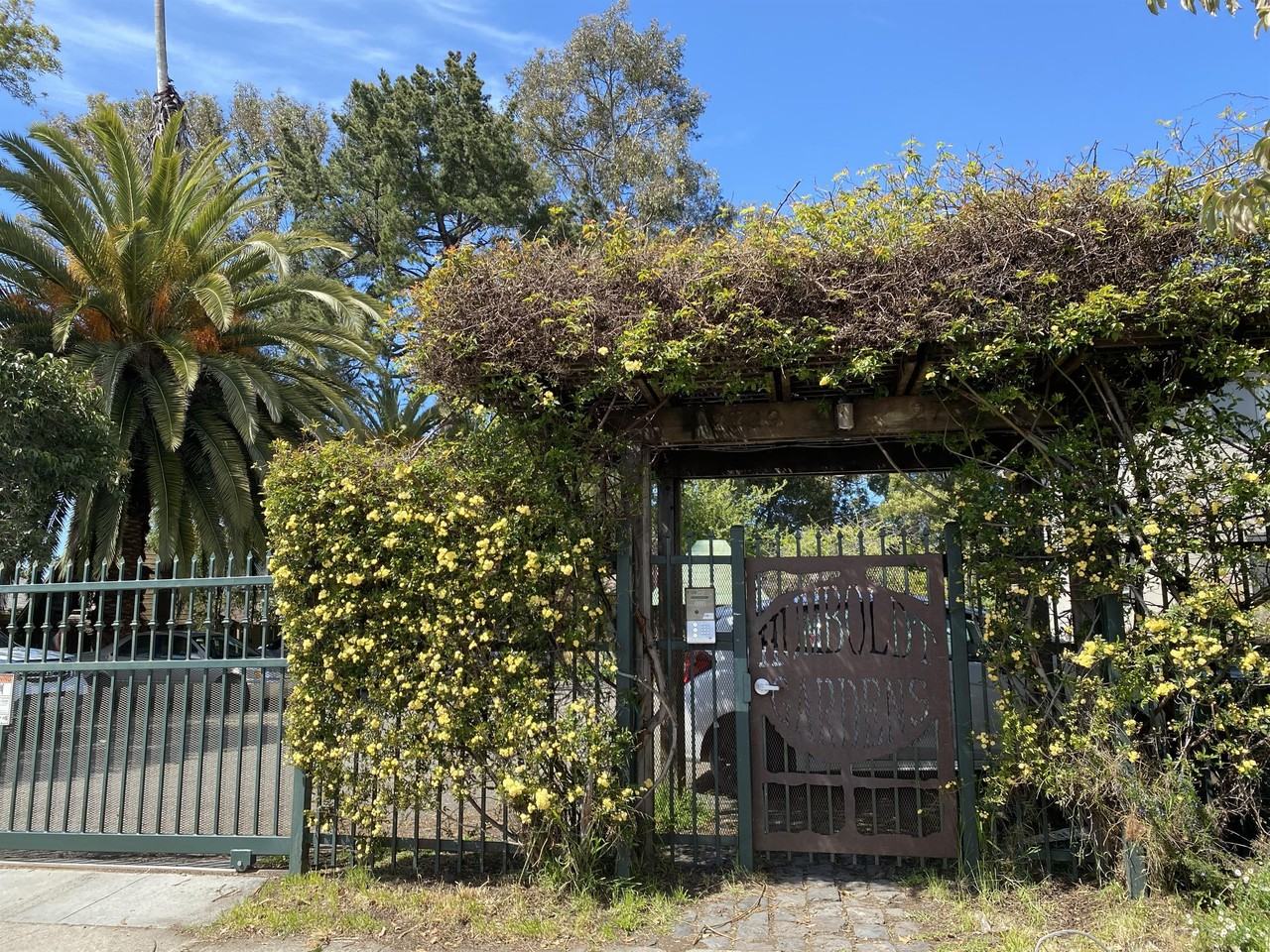 Humboldt - Photo 6 of 6