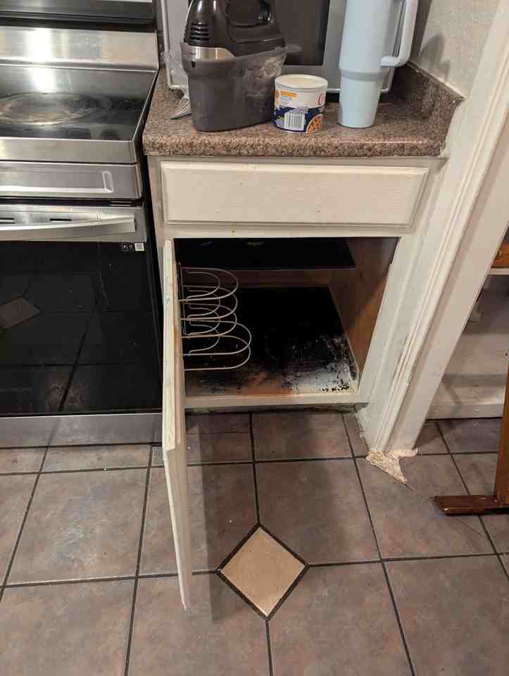 14106 Fleur De Lis Boulevard - Photo 2 of 3