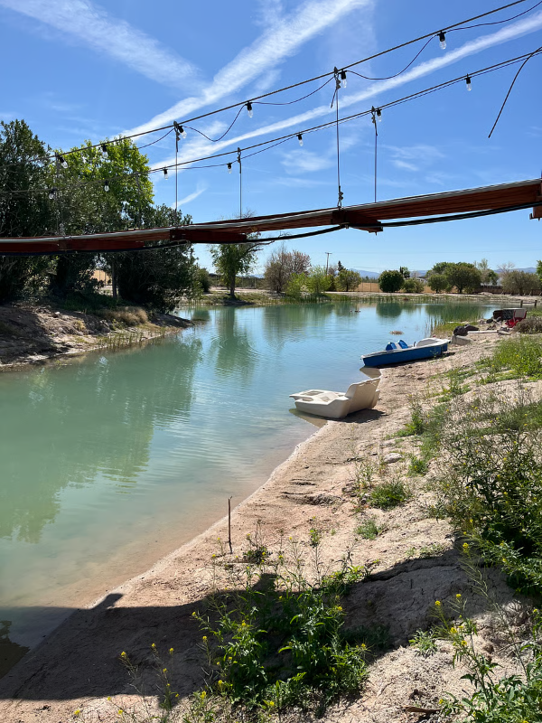 48382 Silver Valley Road - Photo 5 of 17