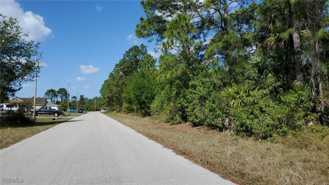 1125 Copley Street #1125 - Photo 1 of 1