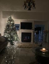 1809 Rorey Cove - Photo 1 of 1