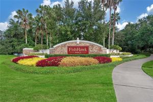 featured image of 15810 Fishhawk View Drive #15810