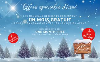 featured image of 1150 Rue Sherbrooke Est