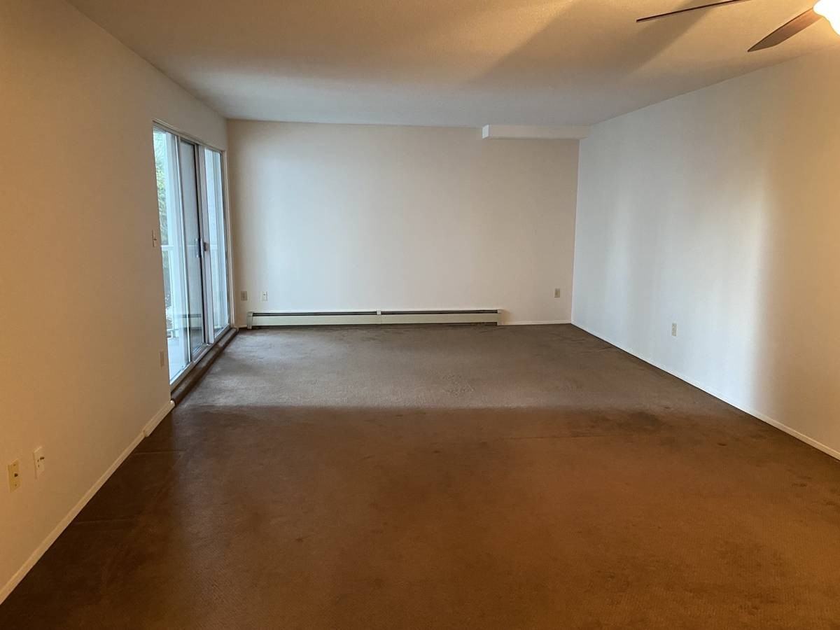 33465 Bevan Avenue #203 - Photo 7 of 13