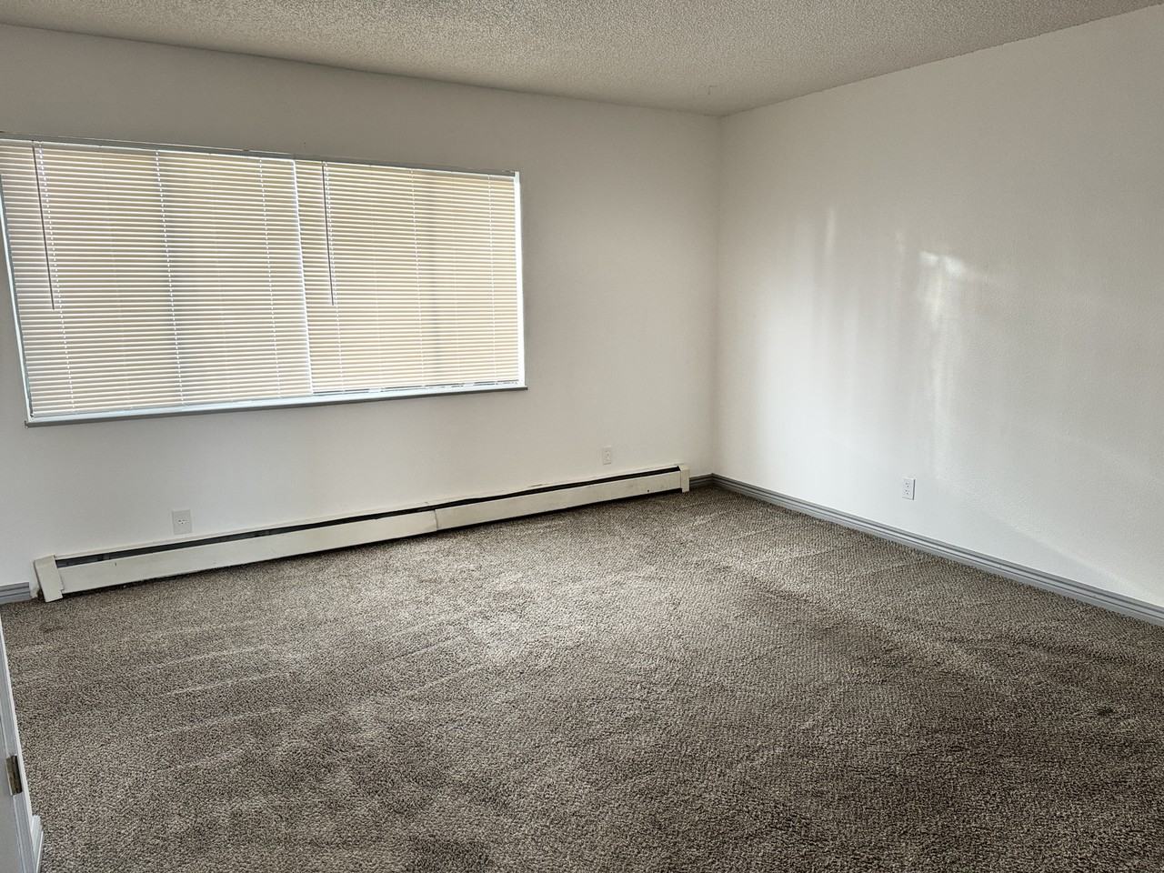 830 West 10th Street #830 - Photo 2 of 16