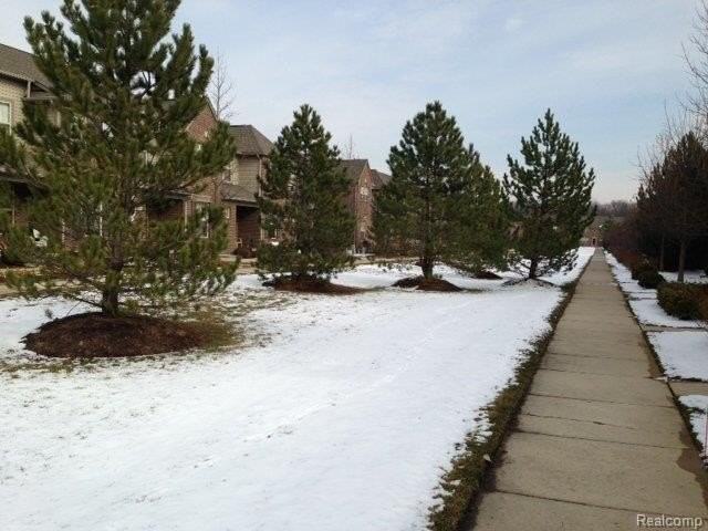 41290 Maplewood Dr - Photo 3 of 15