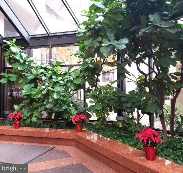 1530 Key Blvd Apt 1319 #1319 - Photo 4 of 30