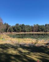 featured image of 23707 Hawthorne Road