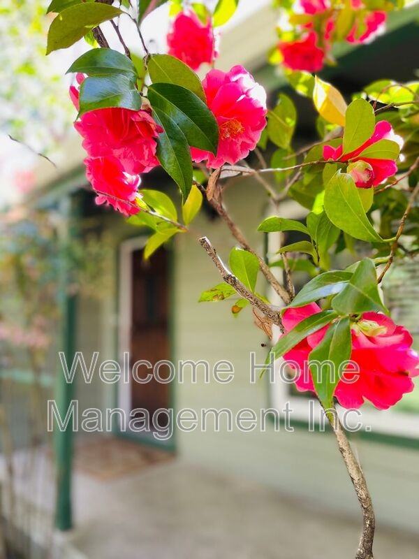 2561 Olympic Boulevard - Photo 3 of 48