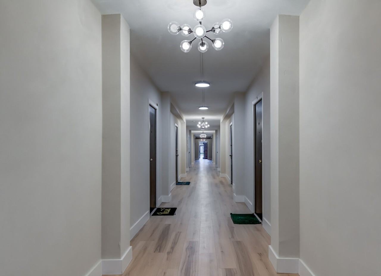 Renovated Studios, 1, & 2 bed apartments! - Photo 4 of 9