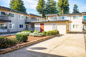 featured image of AMADOR ROYALE