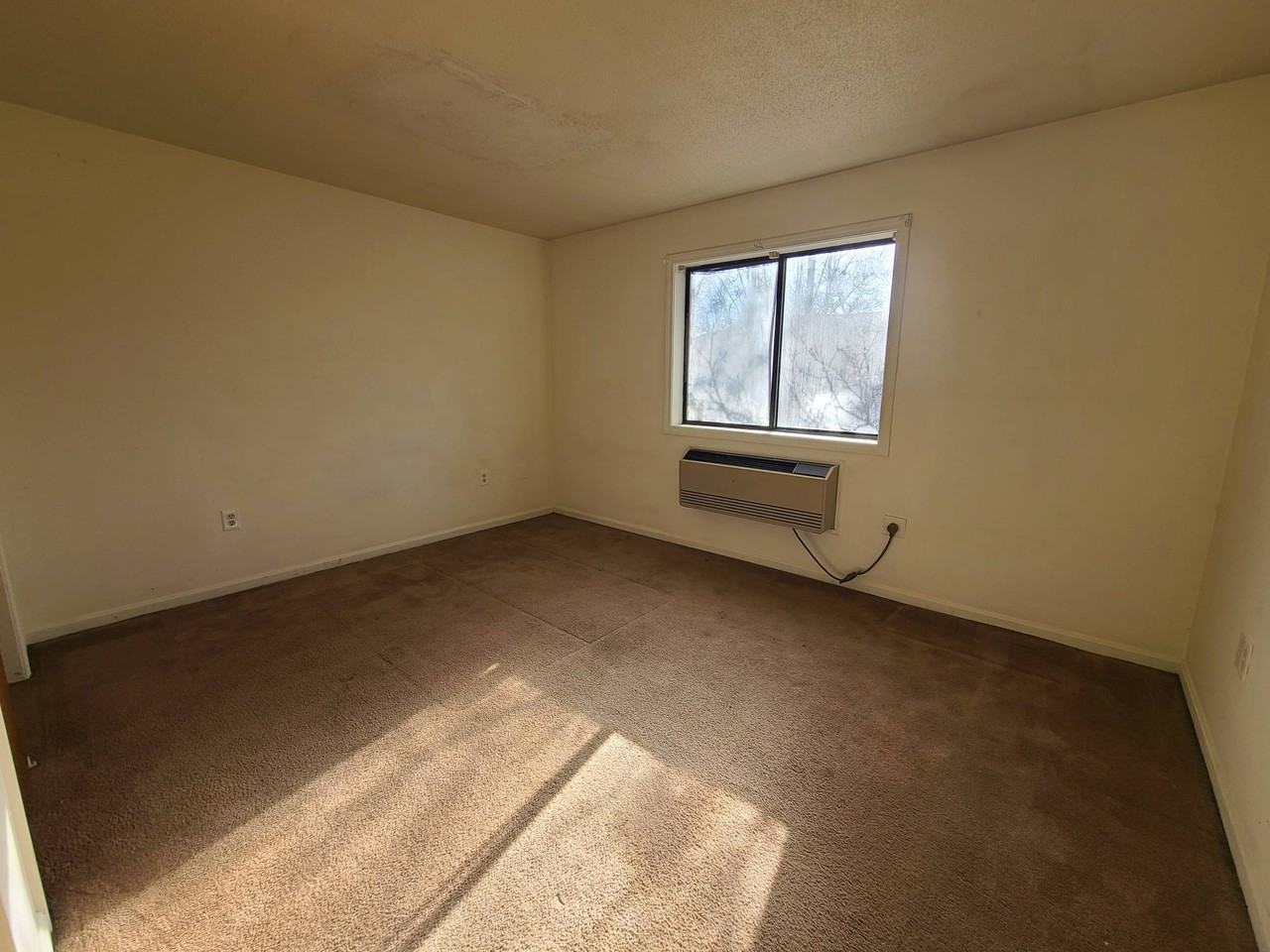 311R East Street - Photo 3 of 6