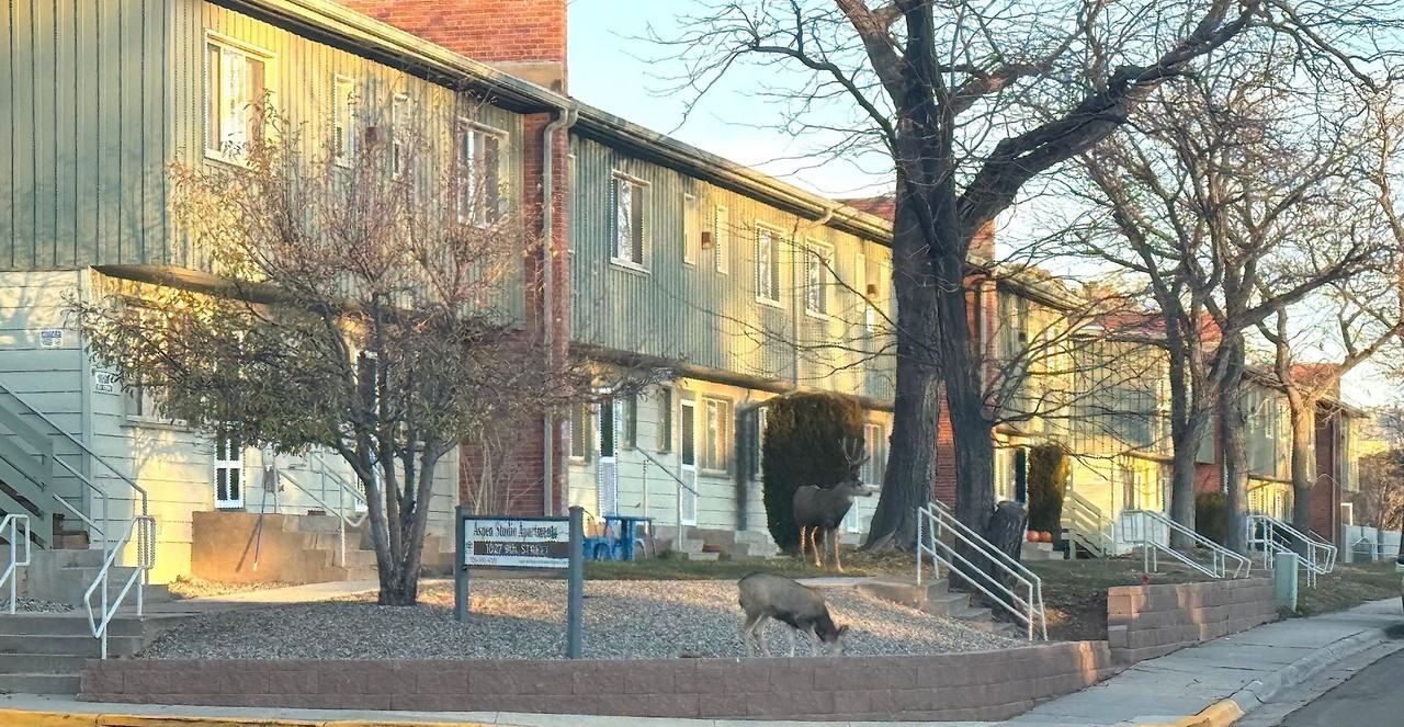 Aspen Studio Apartments - Photo 6 of 8