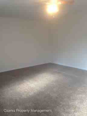 420 Britt Lane - Photo 3 of 13