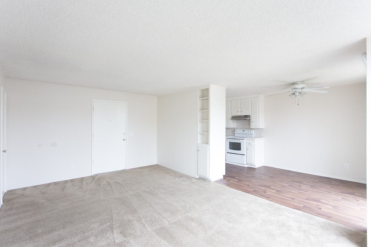 3825 Riviera Drive - Photo 3 of 13