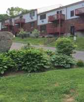 1 bedroom den or 2 Bedroom Unit in Seymour - Photo 1 of 1