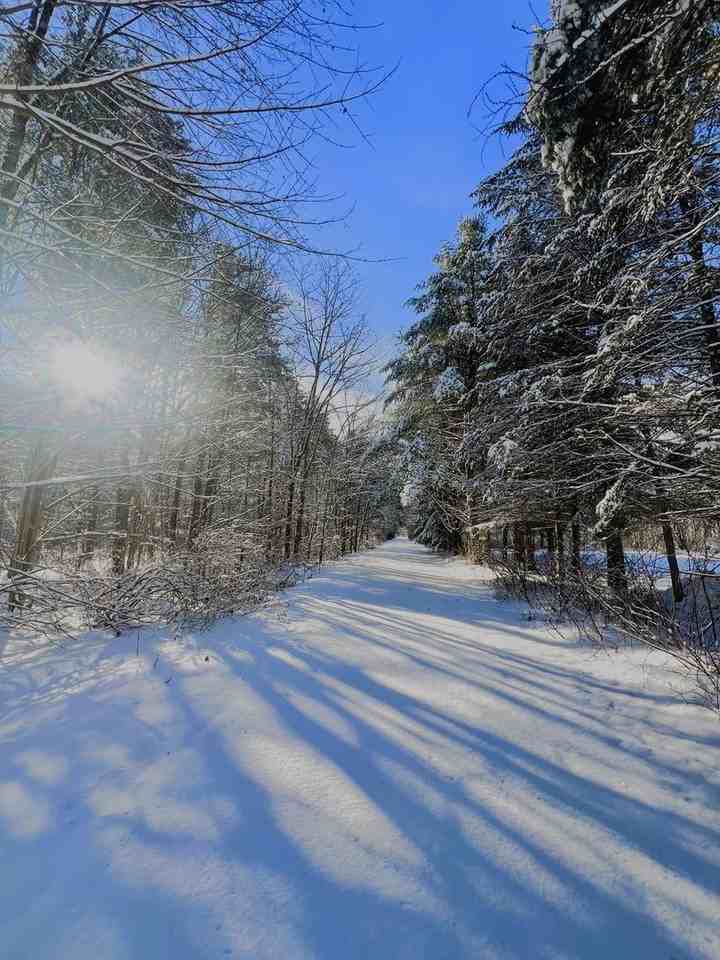 6 Railroad Street - Photo 7 of 7