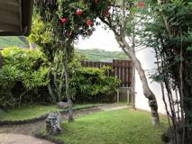 2349 Palolo Avenue #R3 - Photo 1 of 1