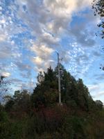 featured image of 10335 Paw Paw Rd #NA