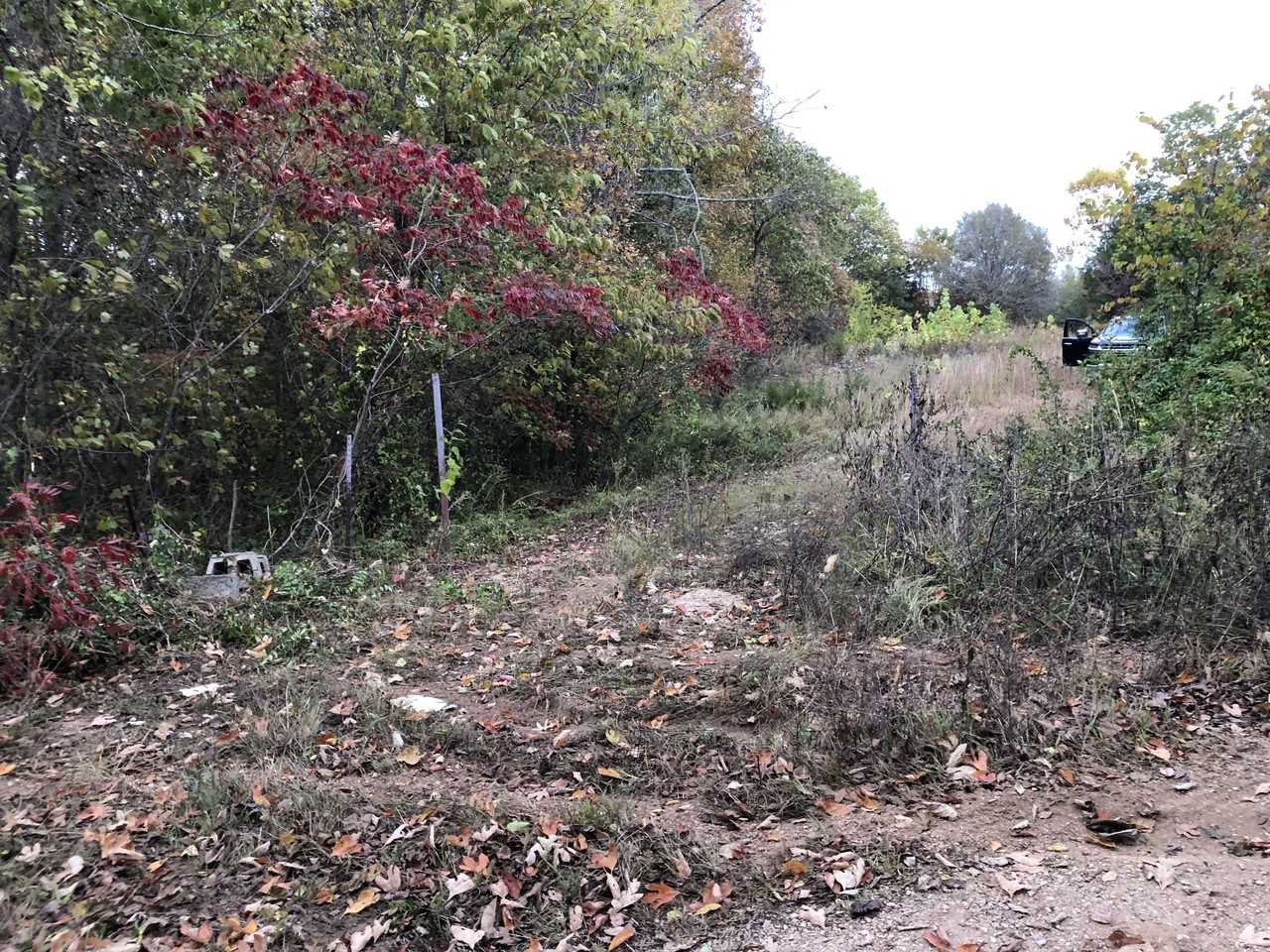 10335 Paw Paw Road #NA - Photo 2 of 3