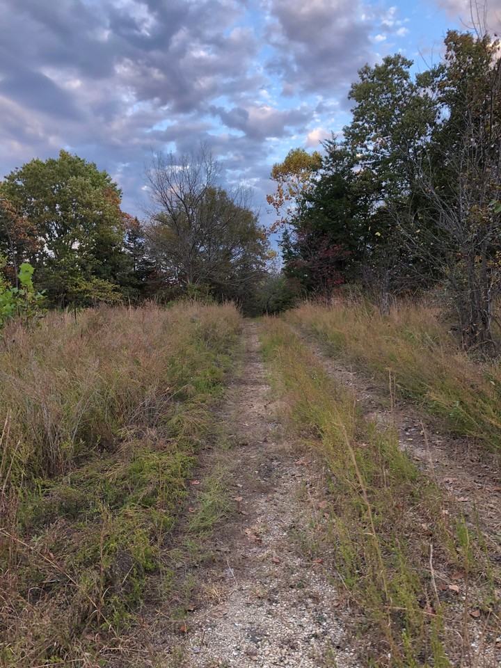 10335 Paw Paw Road #NA - Photo 3 of 3