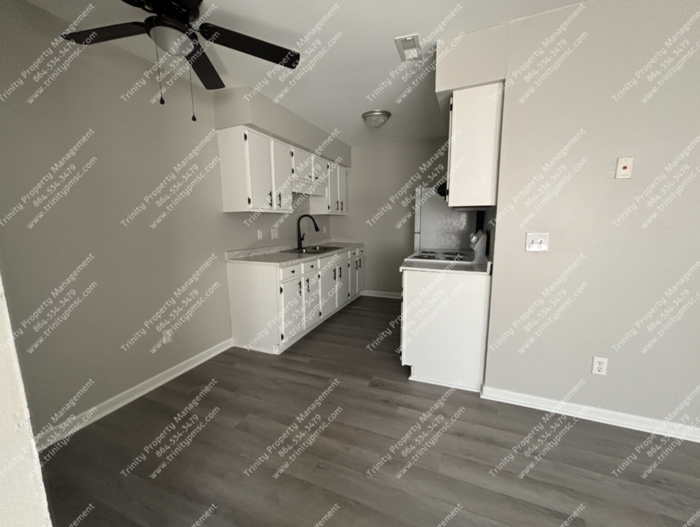 1728 Indian Land Drive #1903 - Photo 4 of 16