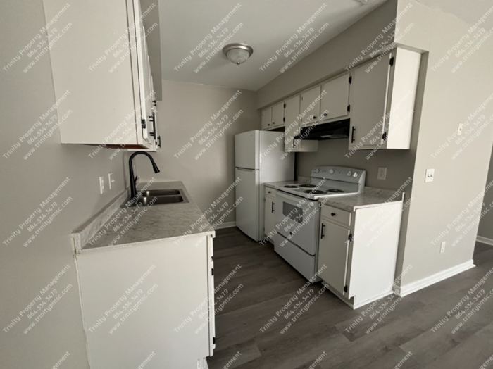 1728 Indian Land Drive #1903 - Photo 5 of 16