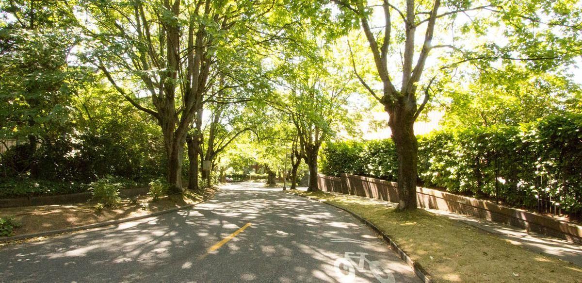 1406 E Republican St - Photo 5 of 30