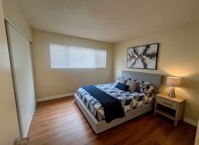 LB0634(Lime) (RUBS) (Imp.) - Photo 1 of 1