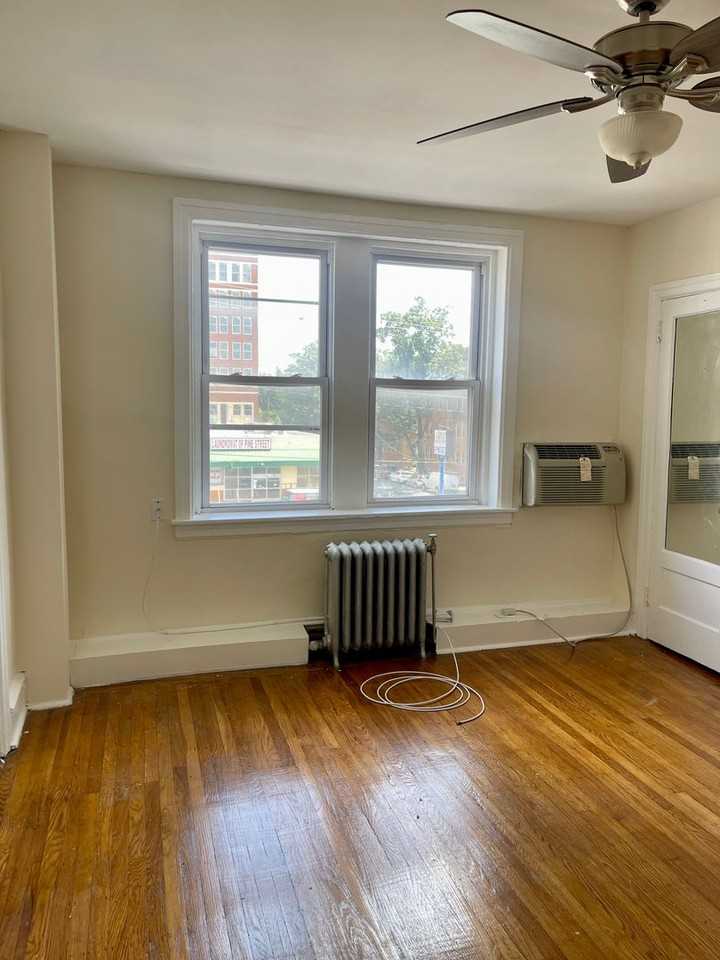 Pine Hill - Photo 5 of 17