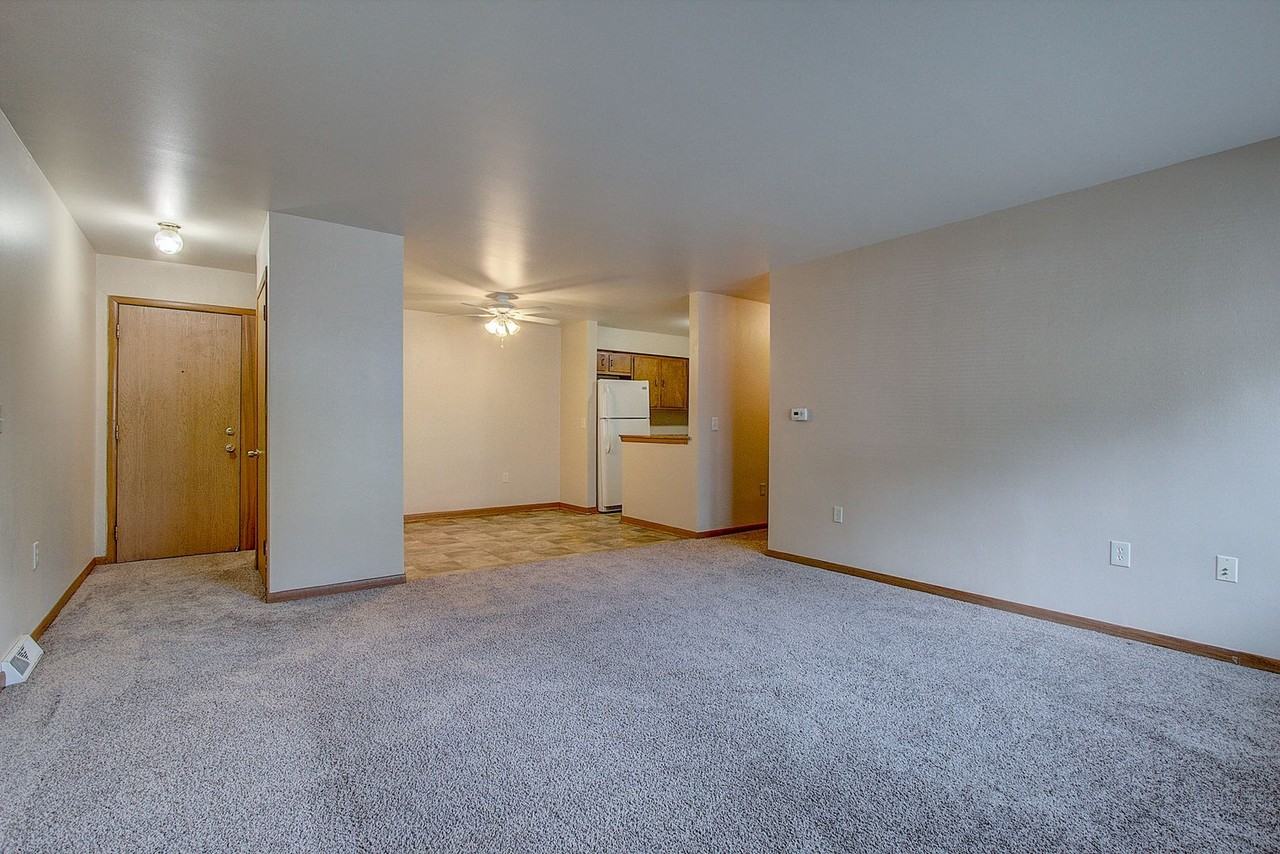 White Swan - Photo 3 of 26