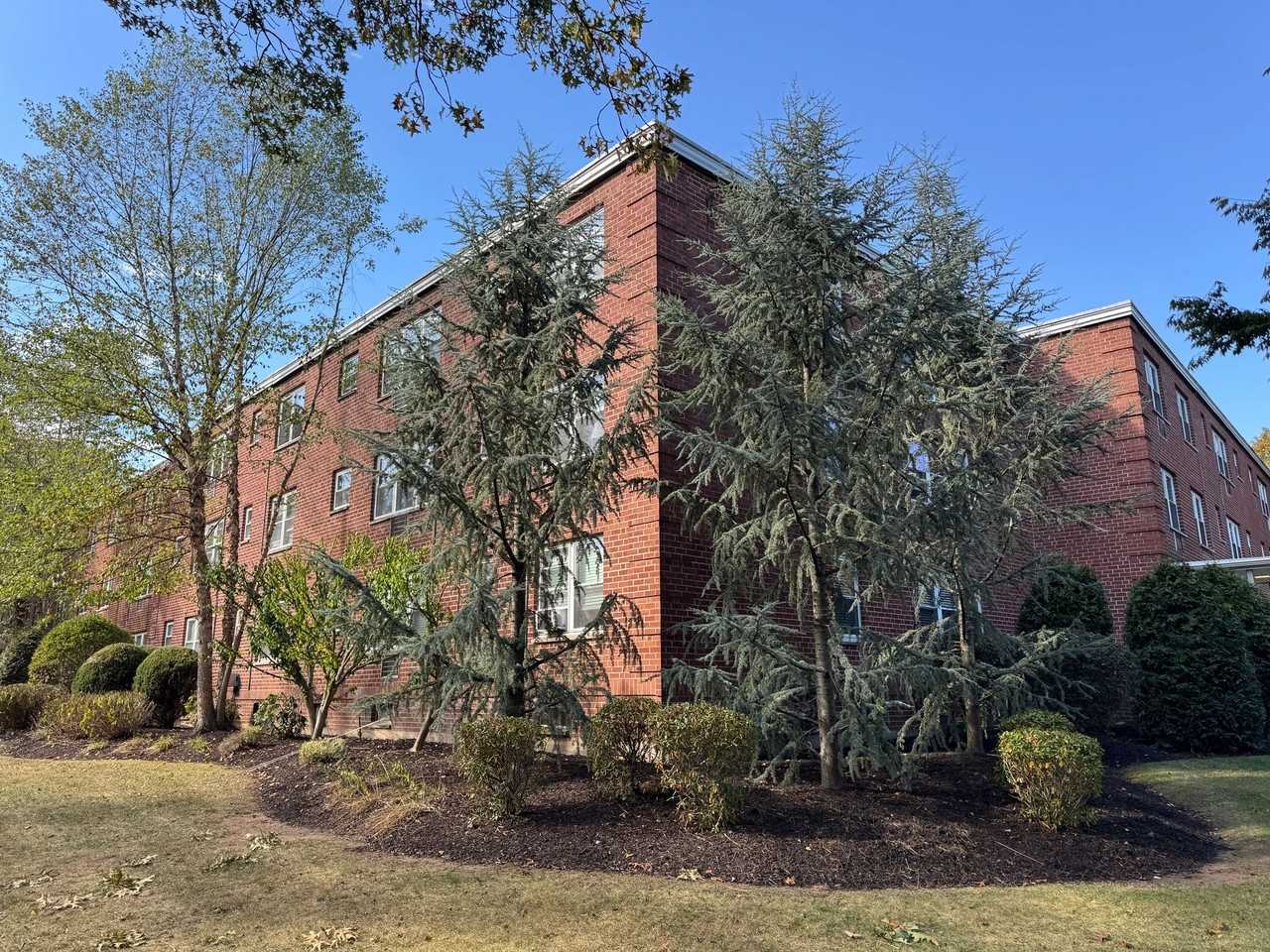 Eli Whitney Apartments - Photo 5 of 7