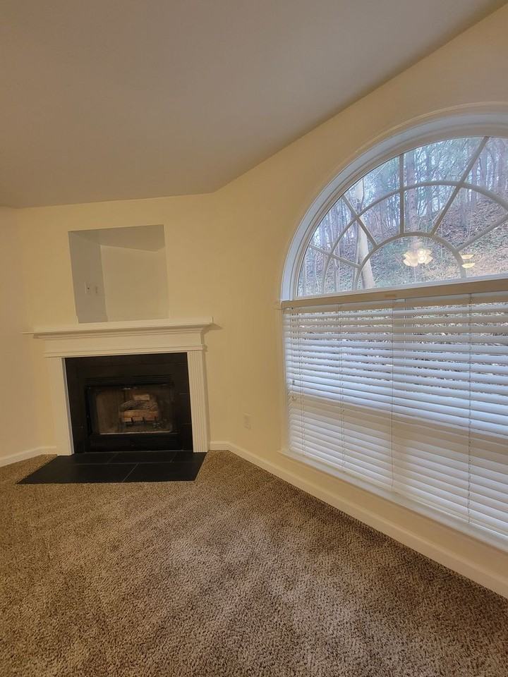 1912 Salem Bluff Drive - Photo 4 of 15