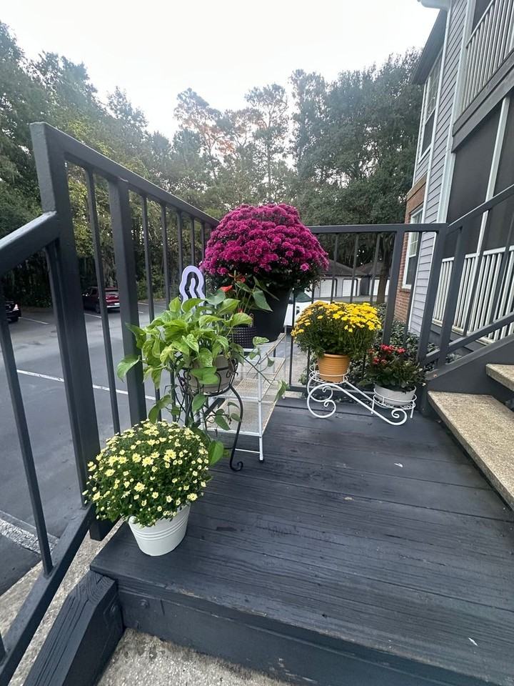 509 Hammock View - Photo 3 of 15