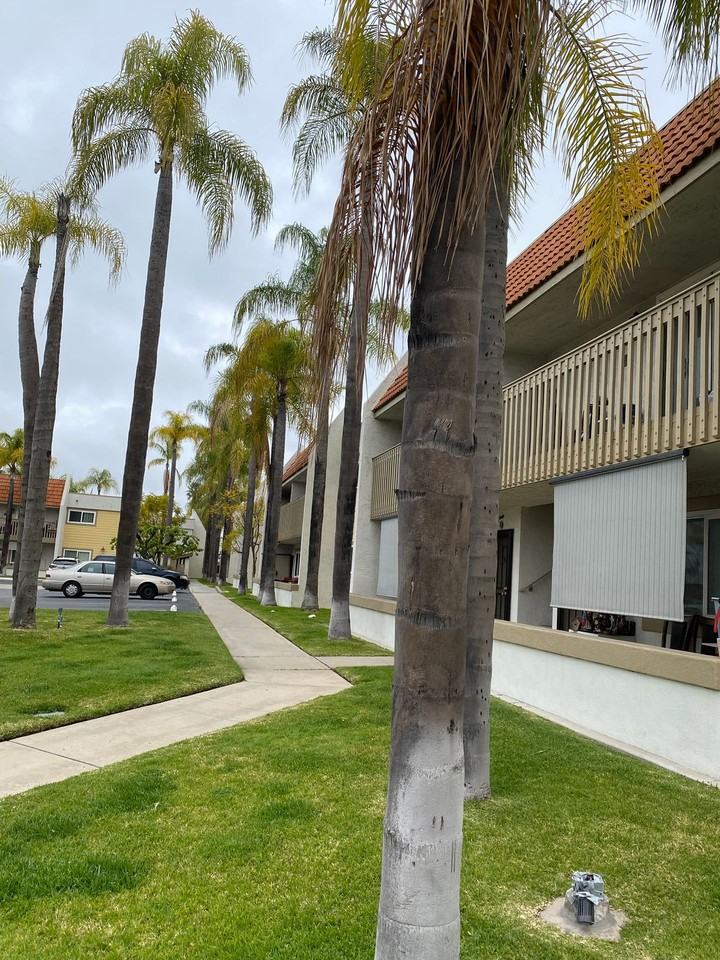 Spacious 2 bedroom, 1 bath Apartments — Your New Home in the Heart of El Cajon - Photo 4 of 41