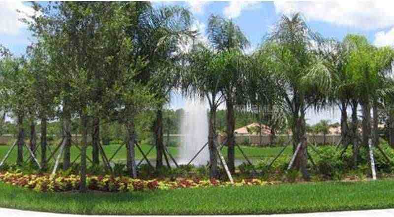 11827 Barletta Dr - Photo 4 of 18