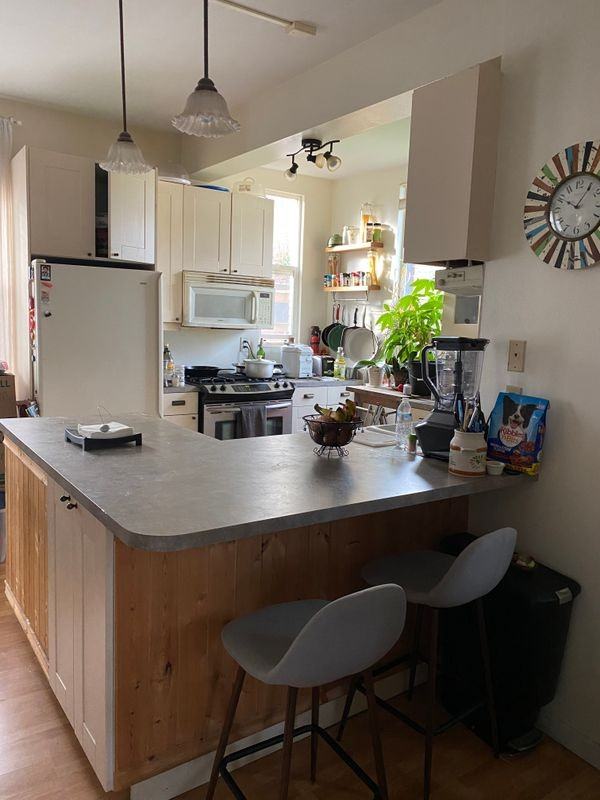 531 Pelly Avenue North - Photo 7 of 15