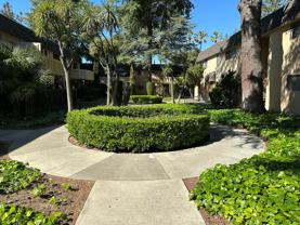 Mediterranean Apartments - Photo 1 of 1