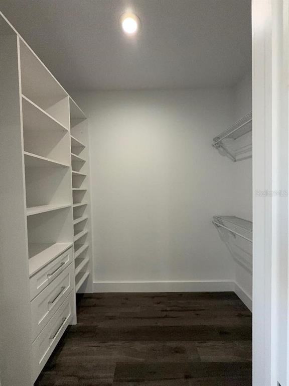 2312 West Norfolk Street #2312A1A2 - Photo 5 of 17