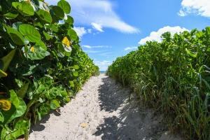 3600 North Ocean Drive #3600-325 - Photo 4 of 50