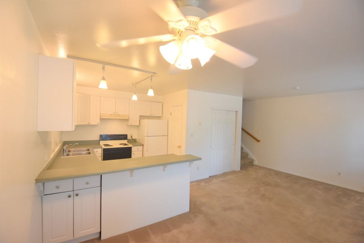 2030 Spruce St. - Photo 6 of 19