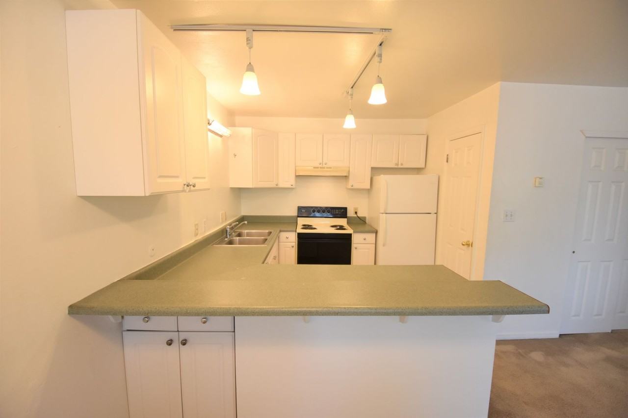 2030 Spruce St. - Photo 7 of 19