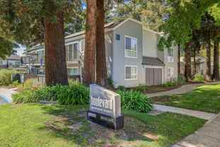 Boulevard - Photo 1 of 1