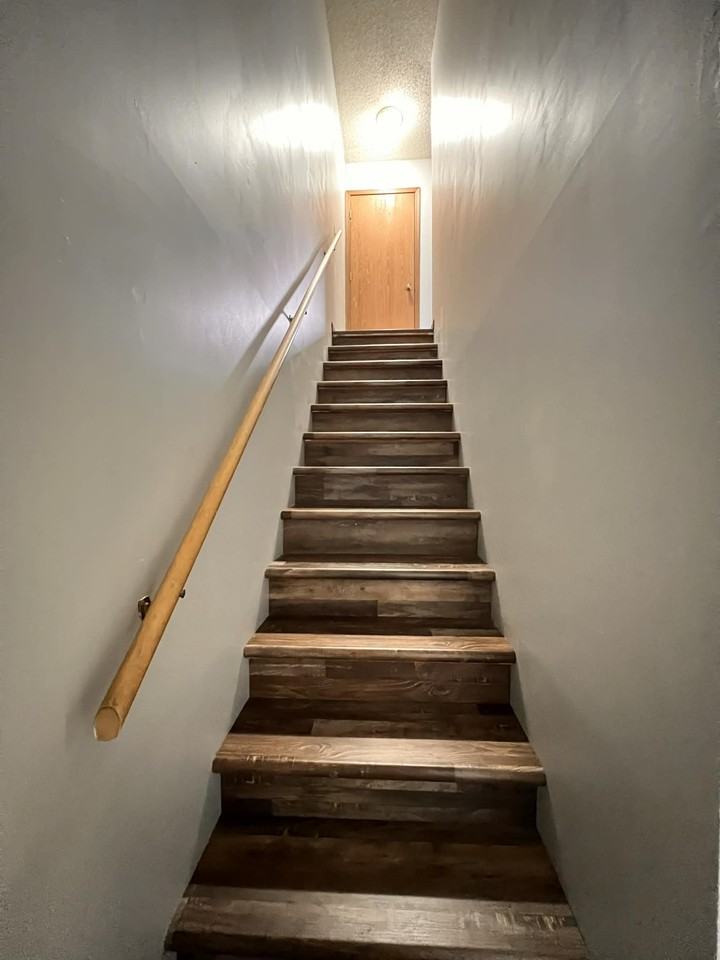 Stardust Drive - Photo 7 of 18