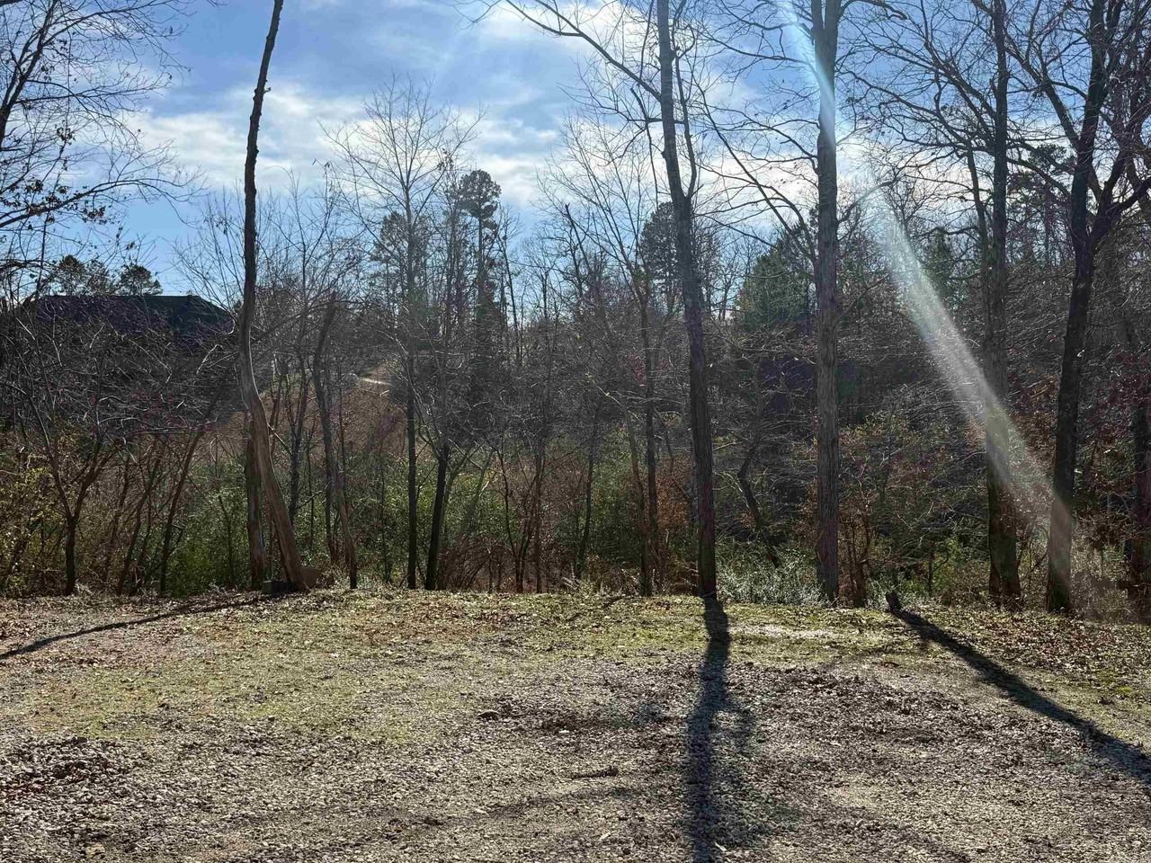 17630 Bream - Photo 4 of 22