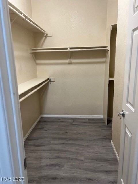 1319 Winter Solstice Ave - Photo 3 of 6