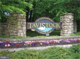 featured image of 296 Tavistock Road